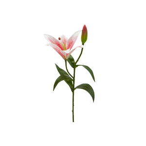 
                  
                    Load image into Gallery viewer, Artificial Lilium Flower
                  
                