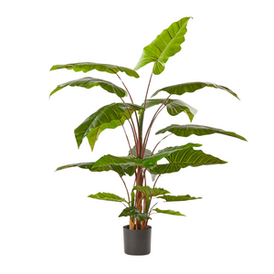 
                  
                    Load image into Gallery viewer, Artificial Alocasia Plant 170cm
                  
                