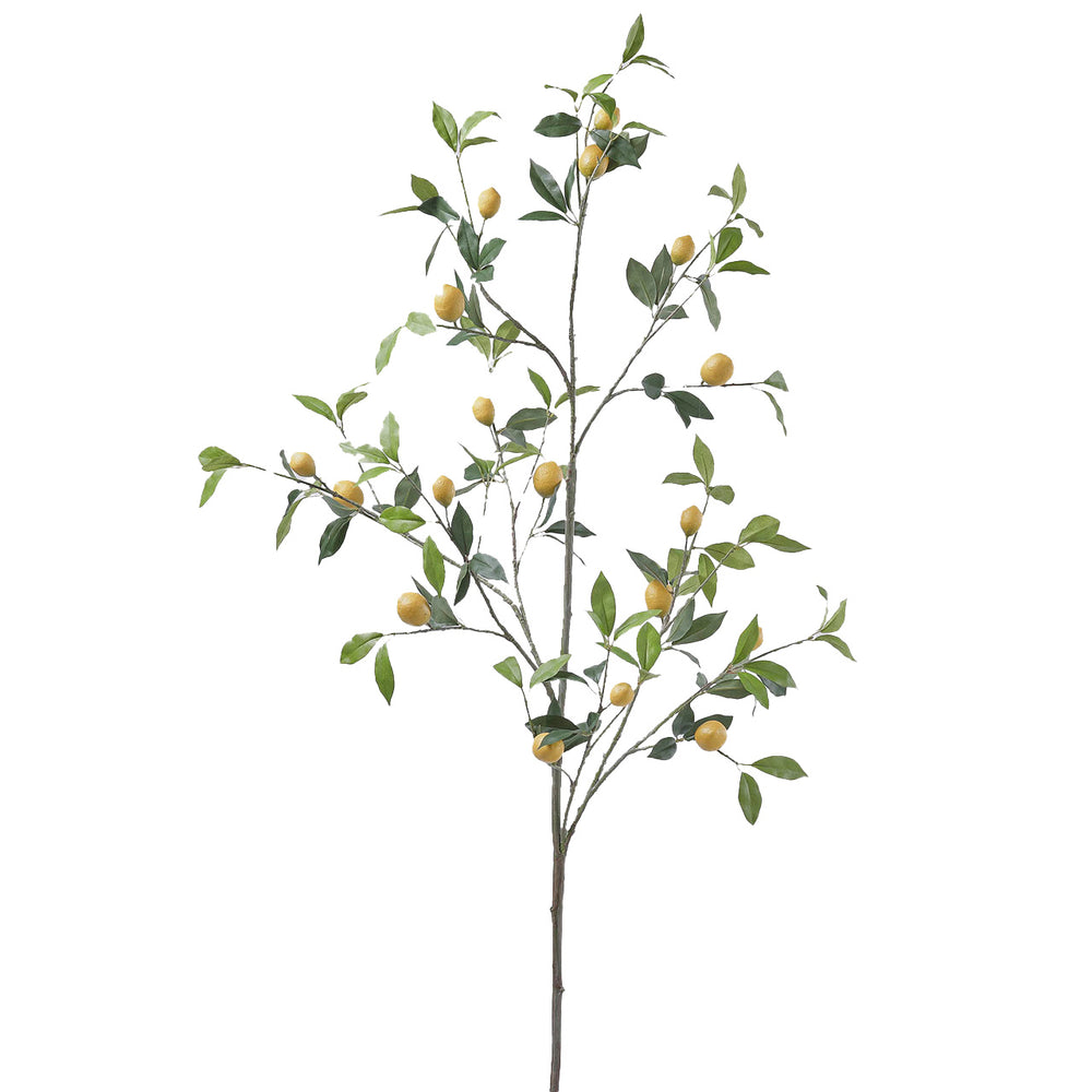 Artificial Lemon Plant