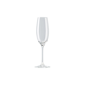 
                  
                    Load image into Gallery viewer, DiVino Champagne Glass
                  
                